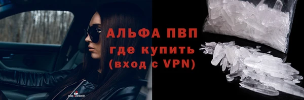 сатива Балахна
