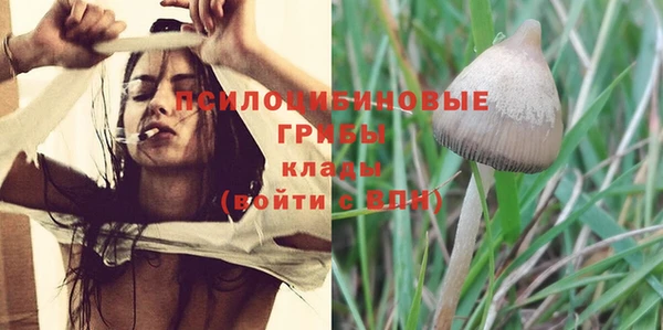 стафф Балабаново