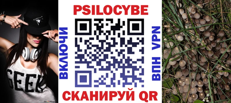 omg онион  даркнет сайт  Тырныауз  Псилоцибиновые грибы Magic Shrooms 