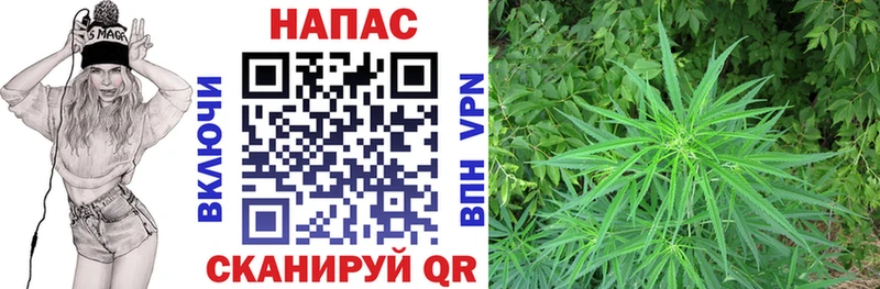 МАРИХУАНА SATIVA & INDICA mega ссылки Тырныауз